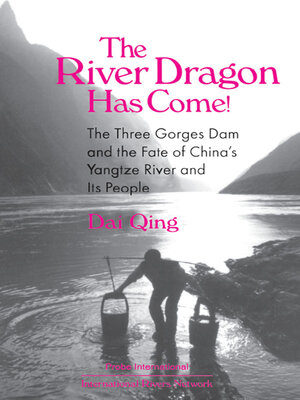 cover image of The River Dragon Has Come!